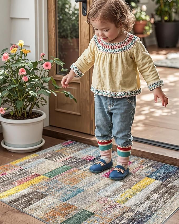 LUMI Ultra Thin Door Mat, 18x30 Non Slip Indoor Doormat Entrance Washable Rugs Entryway Oriental Vintage Soft Carpet for Kitchen Bedroom Front Door, Multicolor