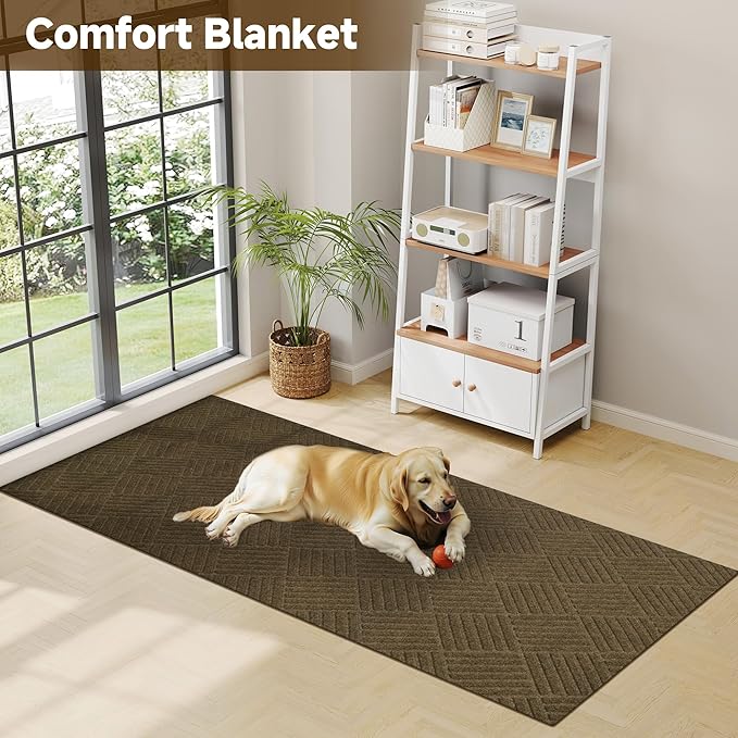 jxgzyy Runner Rug 2'11" x 9'10", Commercial Front Door Mat, Heavy Duty Indoor Outdoor Doormat, Outdoor Mats for Entrance, Non-Slip Entry Mat for High Traffic Area