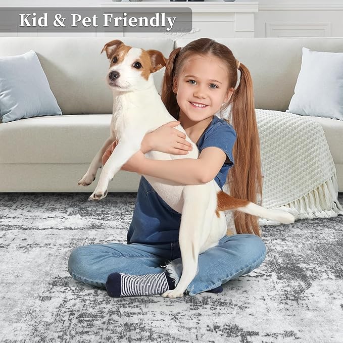Ciicool Modern Abstract Area Rug 2x3 Washable Small Entryway Rugs, Non-Slip Low Pile Throw Rug Mat, Foldable Thin Kitchen Bathroom Rug, Grey Floor Carpet for Entrance Living Room Indoor Doormat