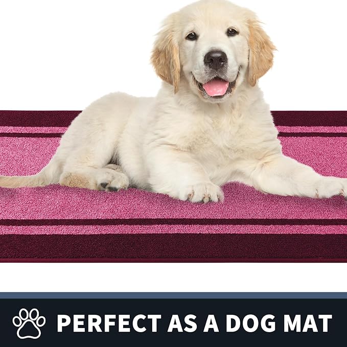 PURRUGS Dirt Trapping Door Mat 20" x 32", Non-Slip/Skid Machine Washable Entryway Rug, Shoes Scraper, Area Rug, Super Absorbent Welcome Mat for Muddy Wet Shoes and Paws, Pink & Burgundy Red