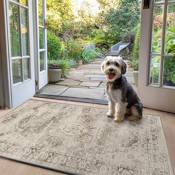 24" x 36" Washable Indoor Doormat 2x3 Entry Rug Welcome Mat Front Door Mat Non-Slip