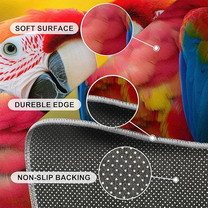 Parrot Rugs for Bedroom - 6x9 Area Rug - Cute Parrot Rugs for Living Room, Colorful 3D Animal Rug, Non-Slip Washable Home Decor Carpet