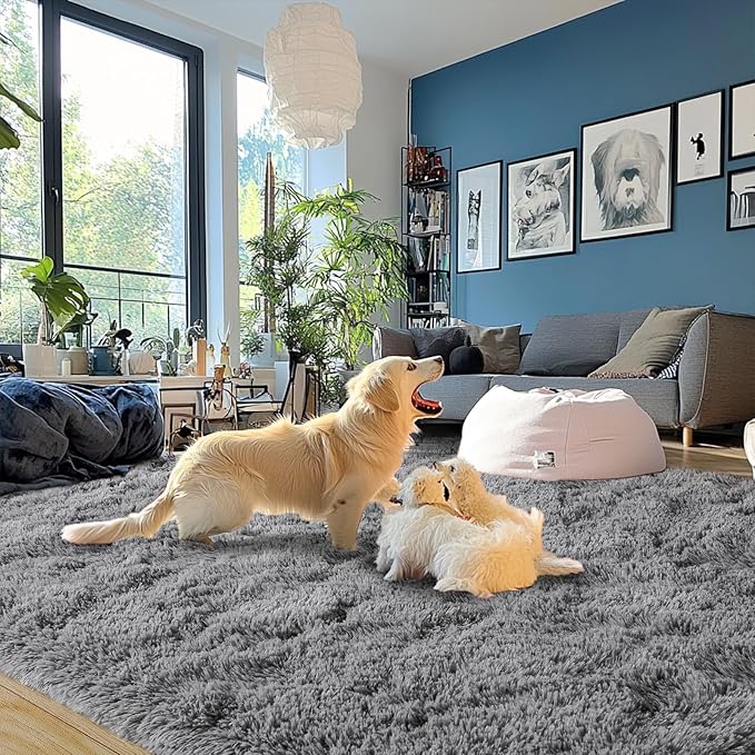 Dark Gray Fluffy Rug Plush Carpet for Bedroom Dorm, Non-Slip High Pile Rug, Shag Rug for Playroom Nursery Home Office Decor 5X7Ft