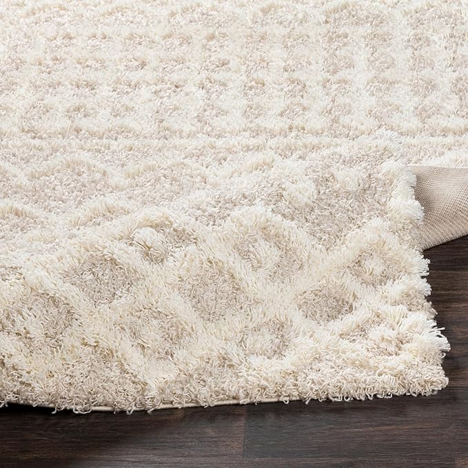 Livabliss Hapsburg Moroccan Shag Area Rug, 6'7" x 9'6", Beige
