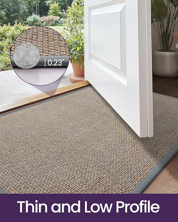 DEXI Ultra Thin Entryway Door Mat 17x30, Non Slip Rubber Backing Inside Entry Mat, Low Profile Easy Clean Dirt Trapper Doormat for Inside Entrance Patio, Grey