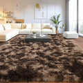 Upgrade Non-Slip Plush Rugs for Living Room, Soft Shaggy Carpets for Living Room, Fuzzy Rugs for Kids' Room, Perfect Decor for Modern Home Tie Dye Coffee 6x9Feet
