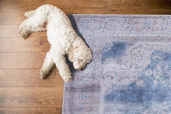 GLN Rugs Traditional Collection - Machine Washable Area Rug, Traditional Washable, Non Slip, Low Pile Chenille Rug, Living Room, Bedroom, Kitchen Rug (6' x 9' Cream/Navy)