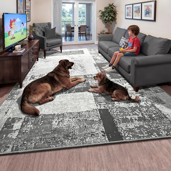 LOCHAS Rug for Living Room, Washable Soft Area Rugs for Bedroom 9x12, Abstract Carpet for Indoor Office Kids Dining Room Nursery Floor, Grey Geometric Vintage Home Decor, Non Slip, Pet Child Friendly
