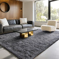 6x9 Area Rugs for Living Room Bedroom, Soft Fluffy Shaggy Bedside Rug, Indoor Floor Carpet for Kids Playroom, Dorms, Nursery Rooms, Home Decor (Grey 6'x9')