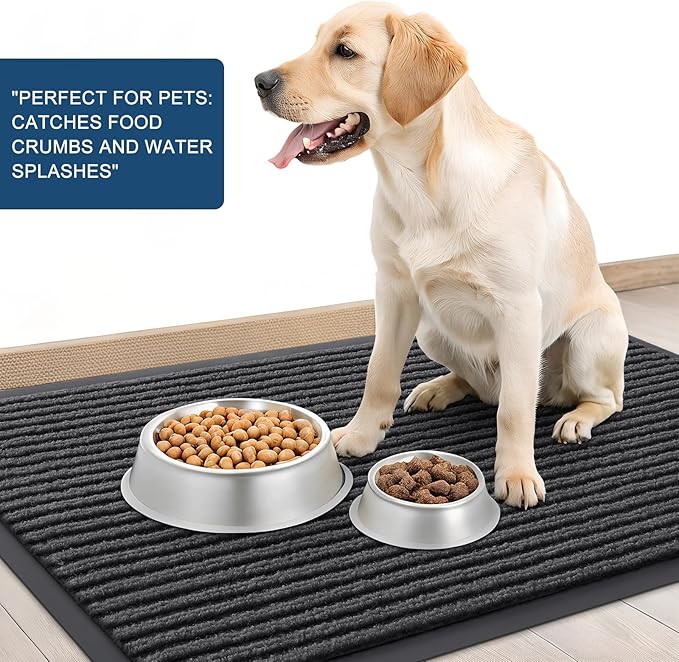 OLANLY Front Door Mat Indoor Outdoor Entrance, Waterproof Heavy Duty Doormat, Fade Resistant, Low Profile, Easy Clean Patio Porch Welcome Floor Mats for Entry, 59x34, Charcoal Grey