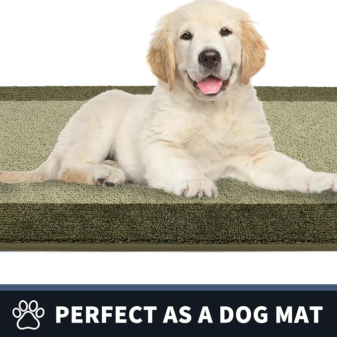 PURRUGS Dirt Trapping Door Mat 20" x 32", Non-Slip/Skid Machine Washable Entryway Rug, Shoes Scraper, Throw Rug, Super Absorbent Area Rug for Muddy Wet Shoes and Paws, Budding Green & Sage Green