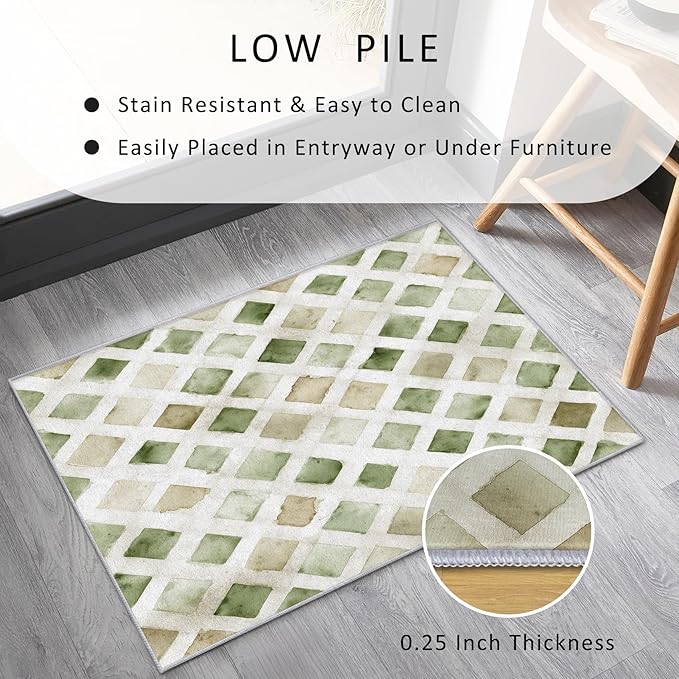 Checkered Rug, Washable 4x5 Rug for Living Room, Geometric Rhombus Patterned Indoor Carpet, Checkered Decor for Home, Bedroom, Soft Non Slip Thin Design FER35