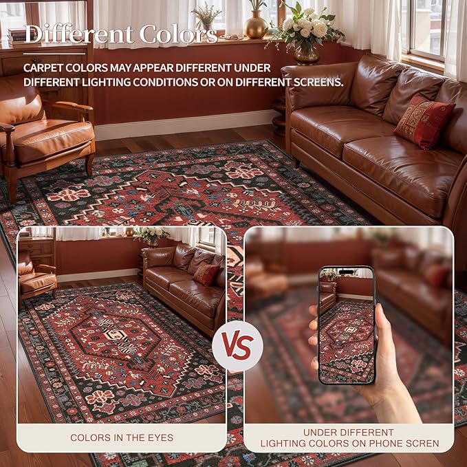 Ciicool Small Area Rug, 2x3ft Boho Rug, Ultra Soft Entry Rugs for Entryway, Non-Slip Washable Oriental Low-Pile Indoor Mat Floor Carpet for Entrance Bedroom Kitchen Bathroom Foyer Decor