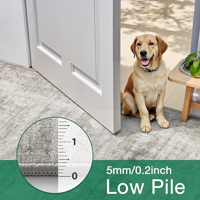 LUMI 5x8 Washable Area Rug for Living Room, Ultra Soft Modern Neutral Grey Rugs Non Slip with Rubber Backing, Low Profile, High Traffic, Stain Resistant Carpets, Ideal for Bedroom, Dining Room