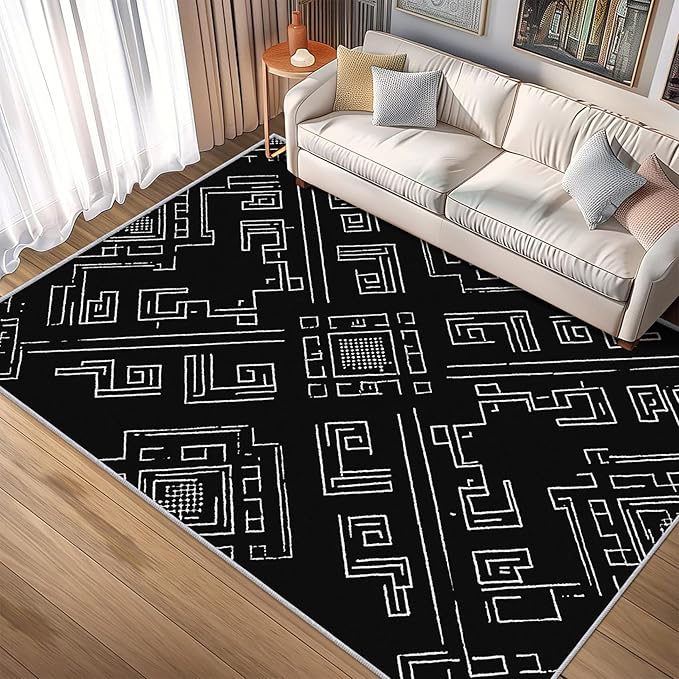 Geometric Rug, Washable 3x5 Rug for Living Room, Black and White Patterned Indoor Carpet, Modern Geometric Decor for Home, Bedroom, Soft Non Slip Thin Design FER14
