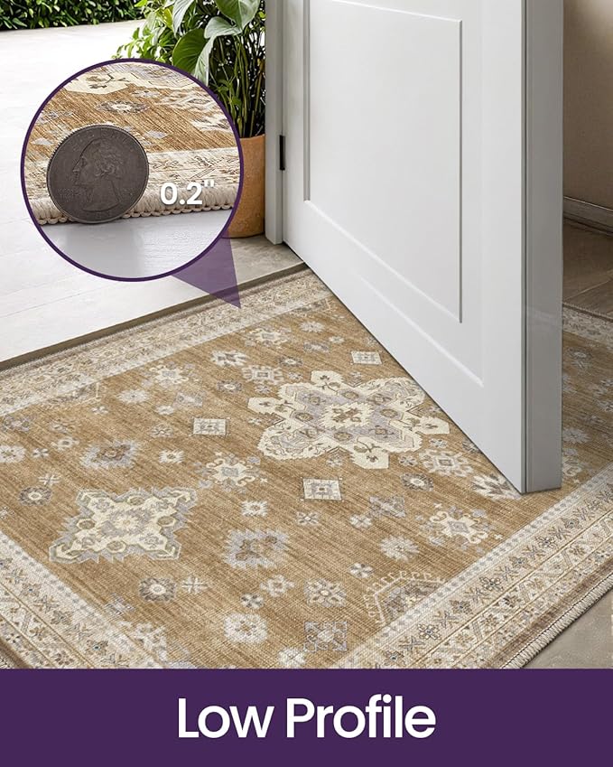 DEXI Area Rugs for Entryway 2'8"x4', Washable Low Pile Vintage Traditional Entry Rug Non Slip, Indoor Door Mat for Bedroom Kitchen Entrance Hallway, Light Brown