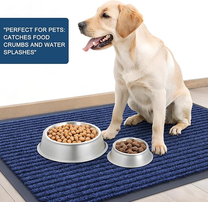 OLANLY Front Door Mat Indoor Outdoor Entrance, Waterproof Heavy Duty Doormat, Fade Resistant, Low Profile, Easy Clean Patio Porch Welcome Floor Mats for Entry, 47x34, Blue