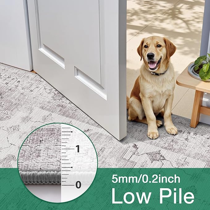 LUMI 8x10 Washable Low-Pile Area Rug for Living Room, Ultra Soft Vintage Rugs with TPE Non Slip Backing, Stain Resistant, Low Profile Carpet High Traffic for Bedroom, Dining Room