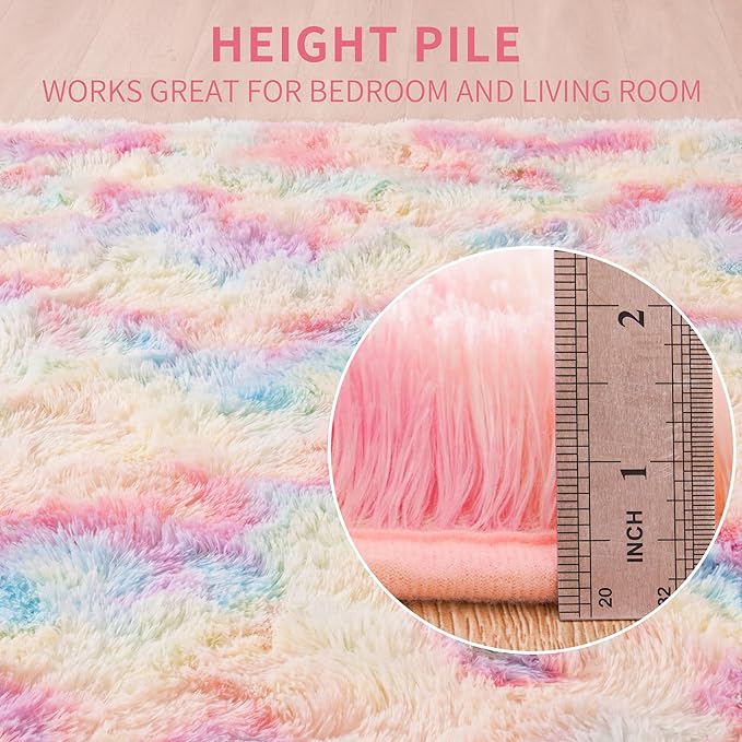 Beglad Fluffy Area Rugs 4x6 Feet, Modern Minimalist Style Shag Rugs, Non-Slip Indoor Carpet Soft Rugs for Bedroom, Living Room & Kids Room, Rainbow