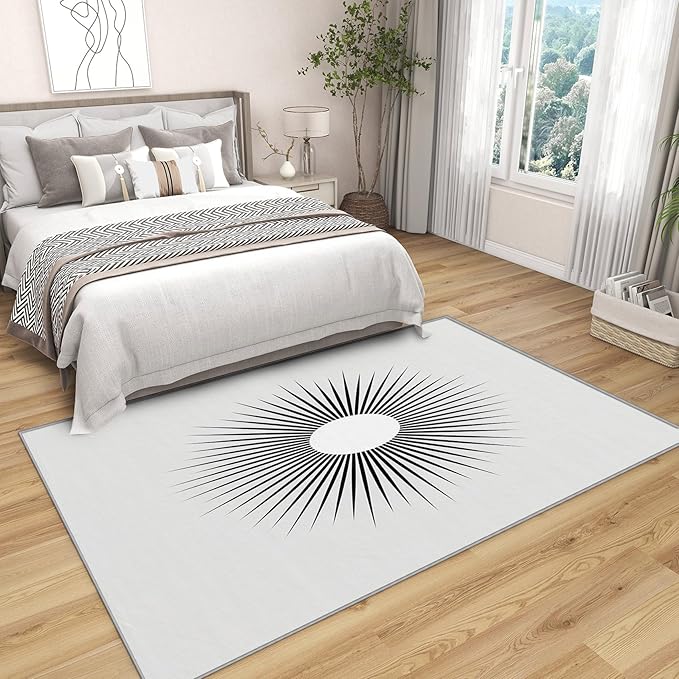 Mid Century Rugs for Living Room - 6x9 ft, Minimalist Sun Rug, Black and White Living Room Rug, Modern Abstract Washable Area Rugs for Bedroom, Optical Illusion Home Decor & Gifts