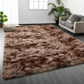 Shag Area Rug, 4 X 6 Tie-Dyed Plush Fuzzy Rugs for Living Room, Ultra Soft Fluffy Furry Rug for Bedroom, Indoor Carpet Nursery Rugs for Kids Room Home Decor, Coffee