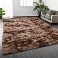 Large Shag Area Rugs 6 x 9, Tie-Dyed Plush Fuzzy Rugs for Living Room, Ultra Soft Fluffy Furry Rug for Bedroom, Indoor Carpet Nursery Rugs for Kids Room Home Decor, Coffee