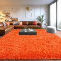 Area Rugs for Living Room, Soft Shaggy Carpets for Living Room, Fuzzy Rugs for Kids' Room, Perfect Decor for Modern Home Orange 4x6 Feet