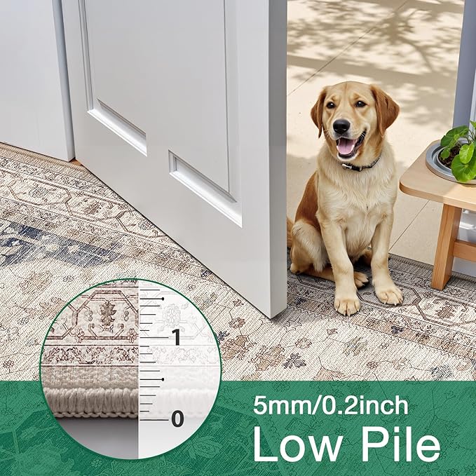 LUMI Washable Area Rug for Living Room, 4x6 Ultra Soft Traditional Rugs Non Slip with Rubber Backing, Low Profile, High Traffic, Stain Resistant Carpets, Ideal for Bedroom, Dining Room, Indoor