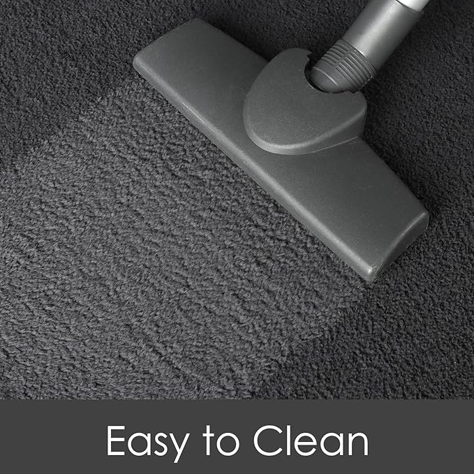 AROGAN Modern Shag Area Rug for Living Room, 5x7 Feet Washable Rugs for Bedroom, Indoor Floor Carpet, Plush Memory Foam Bedside Rugs for Kids Girls Teens Low Pile Rug, Dark Grey
