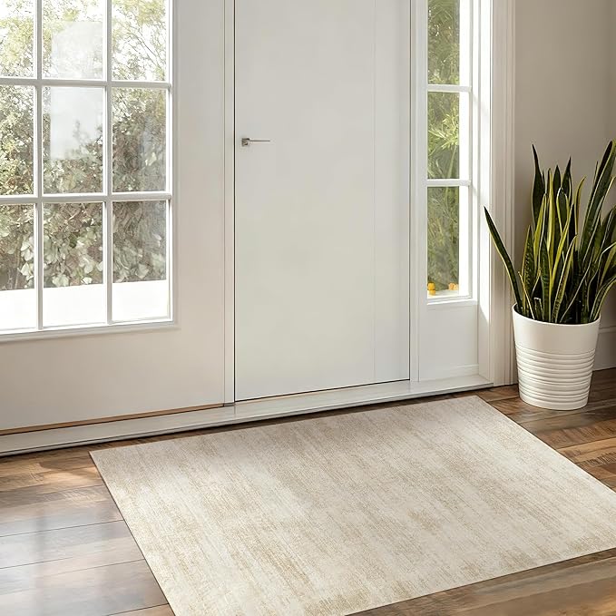 Entryway Rugs 2x3,Abstract Neutral Farmhouse Washable Non Slip Kitchen Rugs,Tan Beige