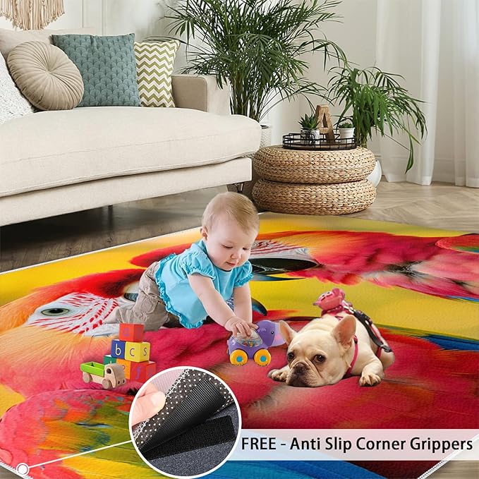 Parrot Rugs for Bedroom - 5x8 Area Rug - Cute Parrot Rugs for Living Room, Colorful 3D Animal Rug, Non-Slip Washable Home Decor Carpet