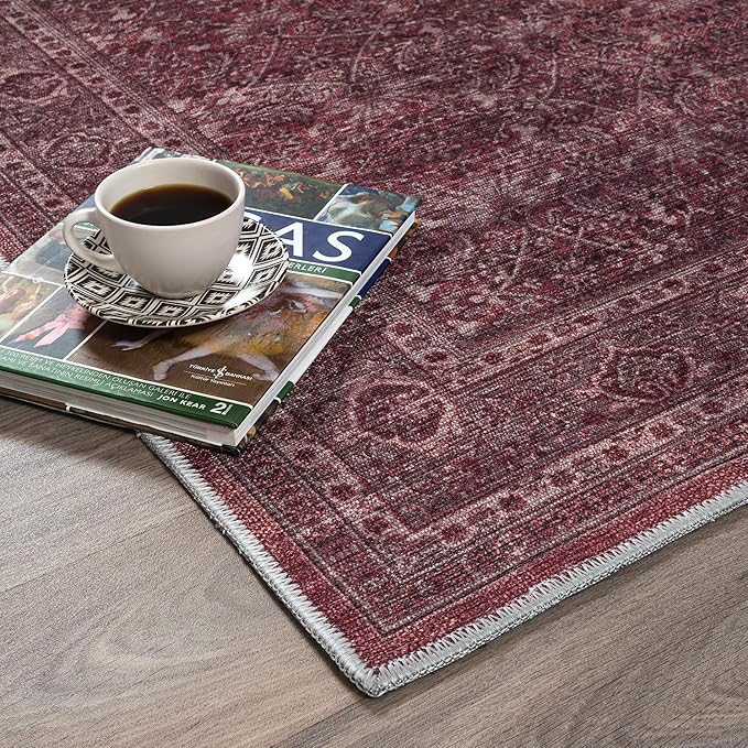 Fame Rugs Turkish Rug. Washable Vintage Oriental Antique Inspired Traditional Doormat Small Modern Area Rugs Luxury Entryway Entry Bedroom Bathroom Kitchen (395RR, 2'5 x 13'1)