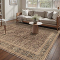 HUGEAR 5x7 Area Rug Brown Washable Bedroom Rug Vintage Neutral Soft Non Slip Distressed Carpet Low Pile Pet Friendly for Living Room Bedside Dining Room