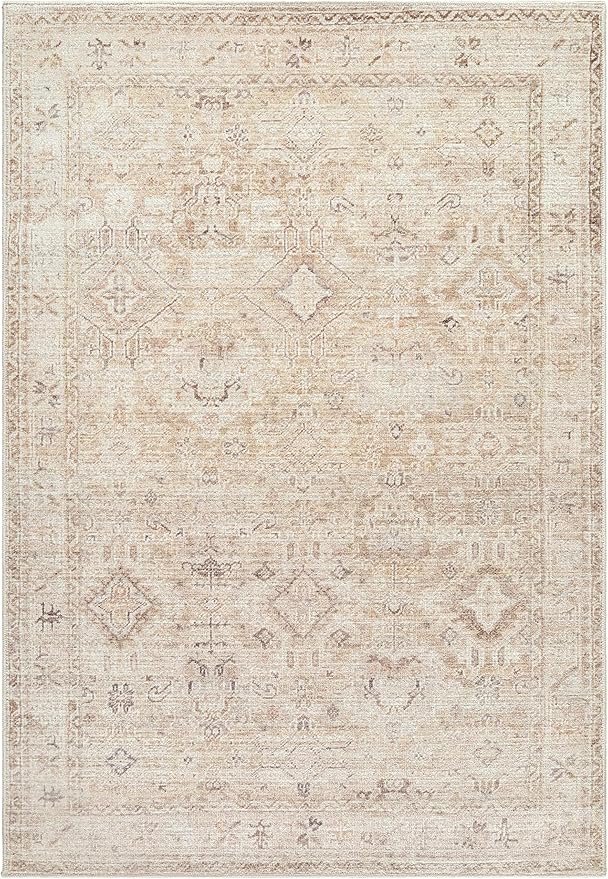 Hauteloom Nakia Living Room, Bedroom Area Rug - Traditional - Beige, Taupe, Ivory - 9'1" x 12'