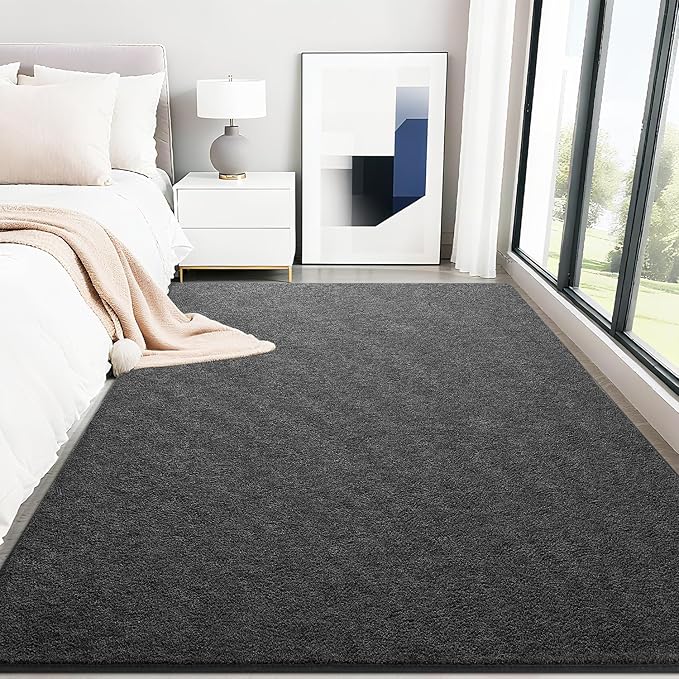 HQAYW 5x7 Area Rugs for Living Room Bedroom, Modern Thickened Memory Foam Soft Rug, Indoor Low Pile Minimalist Washable Non Slip Carpets for Kids Girls Boys Nursery Dorm Home Decor, Dark Grey