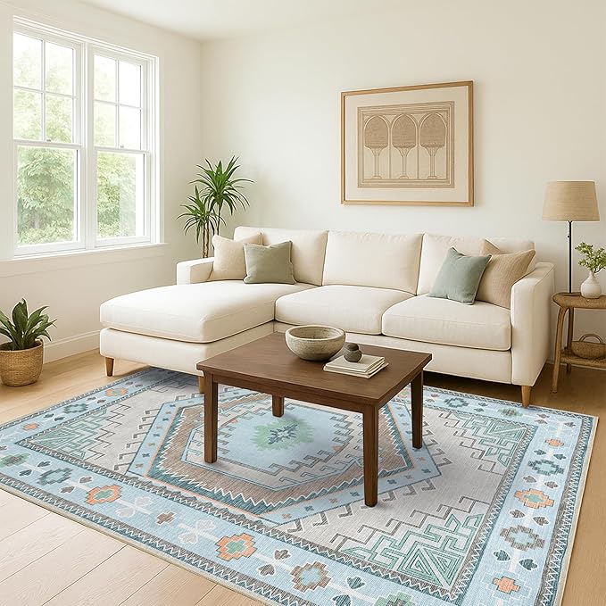 Fame Living Washable Area Rug. Modern Farmhouse. Vintage. Turkish. Bohemian. Distressed. Oriental. Traditional. Rugs for Living Room. Dining. Bedroom. Office. Entryway. Foyer. (856GG, 2'5" x 6'5")