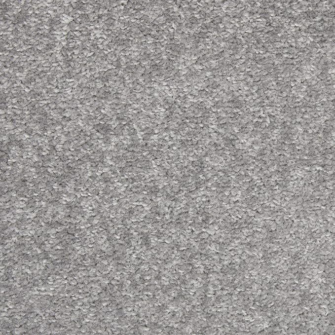 Nourison Home Nourison Essentials Silver Grey 8' x 10' Area Rug - Easy Clean, Non Shedding, Bed Room, Living Room, Dining Room, Kitchen (8' x 10')