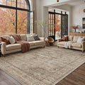 HUGEAR Washable 6x9 Area Rugs Retro Brown Living Room Bedroom Rug Vintage Distressed Non Slip Stain Resistant Low Pile Neutral Throw Carpet for Home Decor