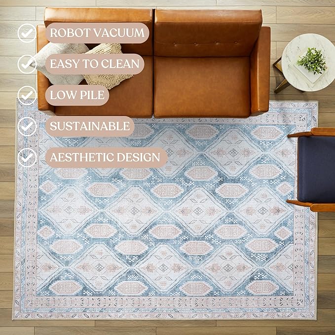 Washable Area Rug. Modern Farmhouse. Vintage. Turkish. Bohemian. Distressed. Oriental. Traditional. Rugs for Living Room. Dining. Bedroom. Office. Entryway. Foyer. (852CB, 2'5" x 4'9")