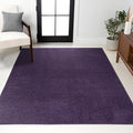JONATHAN Y Haze Solid Low-Pile Purple Indoor Area Rug 8x10, Coastal,Bohemian,Minimalist,Classic, Easy-Cleaning for Living Room,Bedroom,Kitchen,Pet Friendly,Non-Shedding (SEU100N-8)