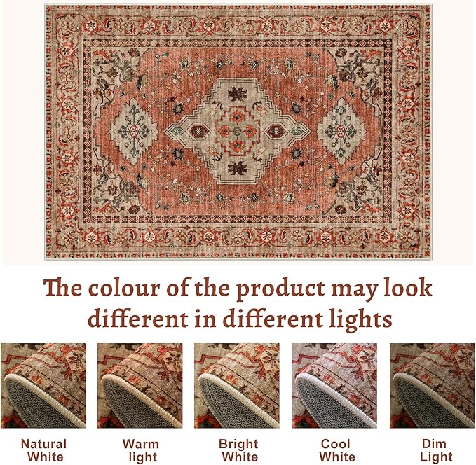 Tangsoo 8x10 Area Rug for Living Room, Washable Vintage Rug Indoor Boho Non Slip Large Area Rugs, Print Distressed Terracotta Carpet, Soft Low Pile Foldable Floor Rug for Bedroom Dining Room