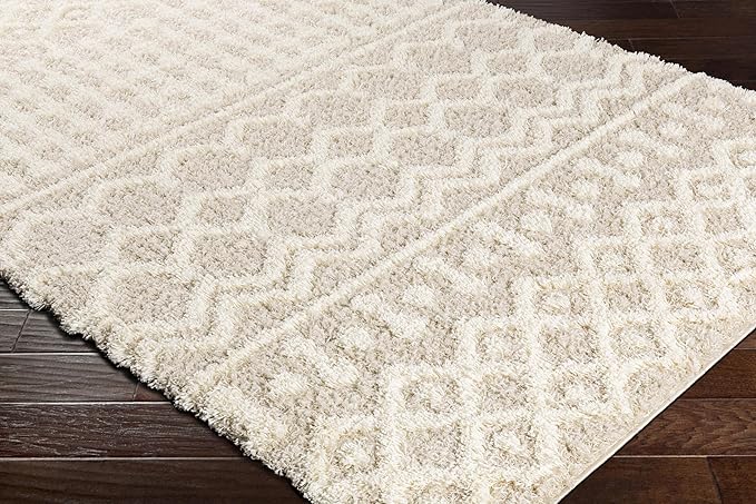 Livabliss Hapsburg Moroccan Shag Area Rug, 2'7" x 5', Beige
