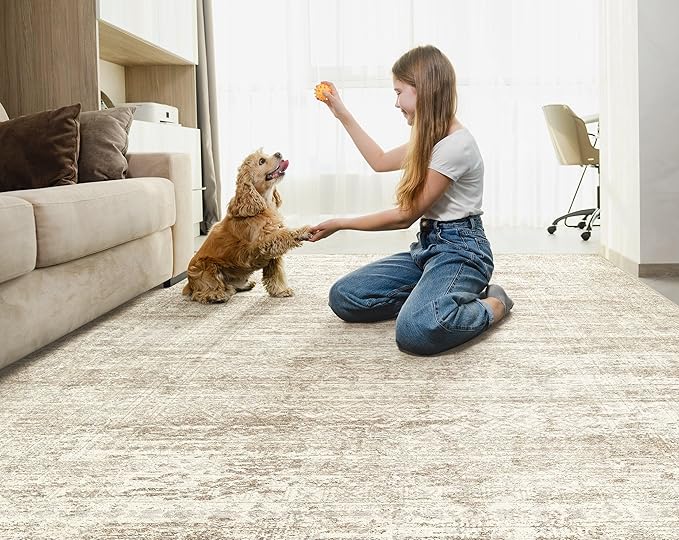 6x9 Area Rug Living Room Rugs - Washable Neutral Modern Abstract Soft Thin Rug Indoor Floor No Slip Rug Carpet for Bedroom Under Dining Table Home Office Decor - Beige/Brown