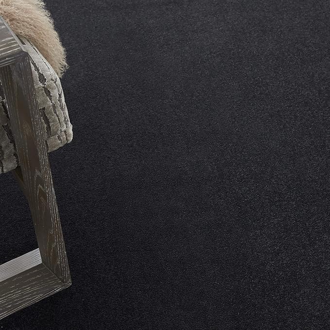 Nourison Home Nourison Essentials Black 8' x 10' Area Rug - Easy Clean, Non Shedding, Bed Room, Living Room, Dining Room, Kitchen (8' x 10')