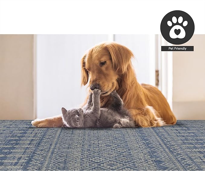 FH Home Flat Woven Outdoor Rug - Waterproof, Easy to Clean, Stain Resistant - Premium Polypropylene Yarn - Boho Moroccan - Large Patio, Deck, Sunroom - Dakar - Blue - 7ft 10in x 10ft 9in