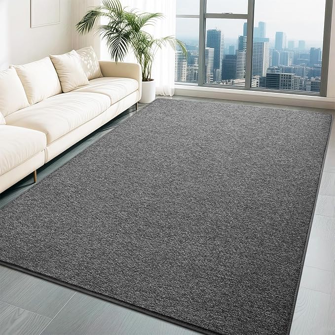 HQAYW 5x7 Area Rugs for Living Room Bedroom, Modern Thickened Memory Foam Soft Rug, Indoor Low Pile Minimalist Washable Non Slip Carpets for Kids Girls Boys Nursery Dorm Home Decor, Dark Grey