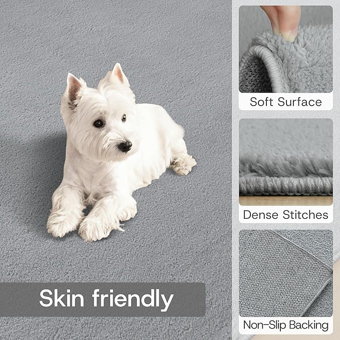 Solid Washable Area Rug - 3x5 Medium Pile Faux Cashmere Carpet for Living Room Bedroom, Grey