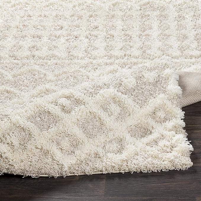Livabliss Hapsburg Moroccan Shag Runner Area Rug,2'7" x 18',Beige