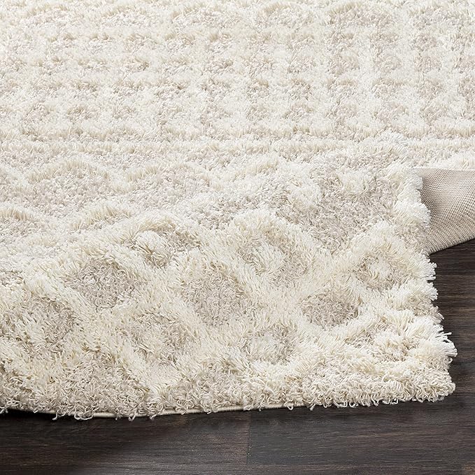 Livabliss Hapsburg Moroccan Shag Runner Area Rug,2'7" x 10',Beige