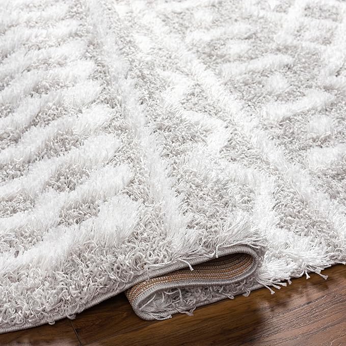 Livabliss Hapsburg Moroccan Shag Area Rug, 5'3" x 7'3", Light Gray